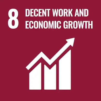 International Hospitals Group are working towards UN Sustainability Goals #8, Decent Work and Economic Growth