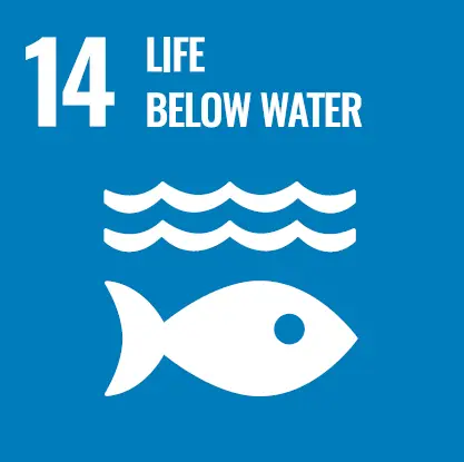 International Hospitals Group are working towards UN Sustainable Development Goal #14, Life Below Water